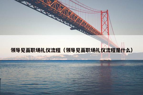 领导见面职场礼仪流程（领导见面职场礼仪流程是什么）