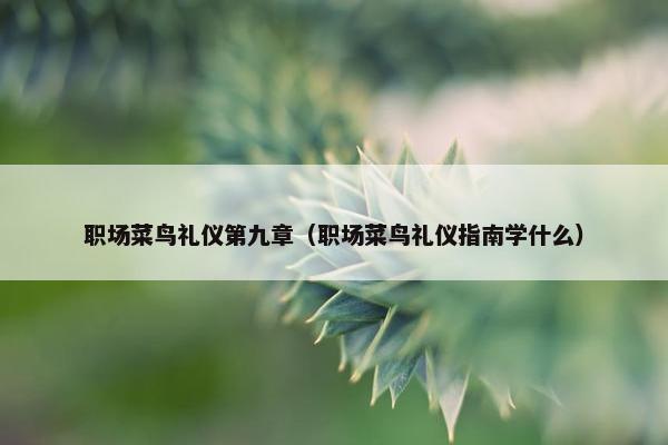 职场菜鸟礼仪第九章（职场菜鸟礼仪指南学什么）
