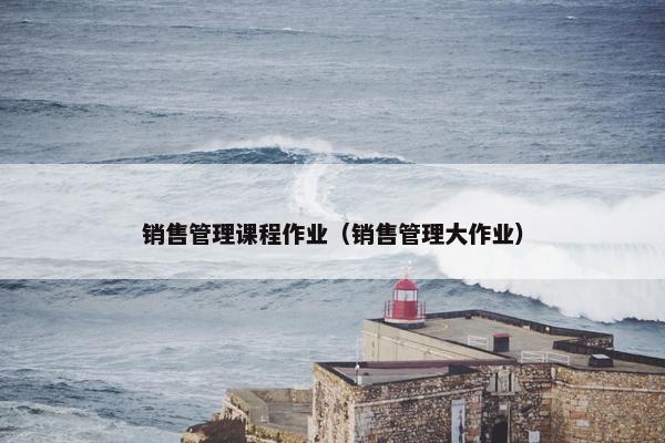 销售管理课程作业（销售管理大作业）