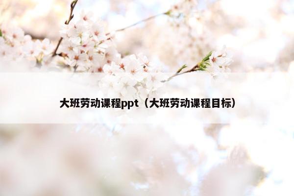 大班劳动课程ppt（大班劳动课程目标）