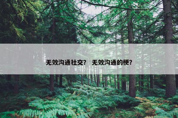 无效沟通社交？ 无效沟通的梗？