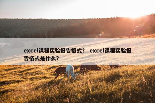 excel课程实验报告格式？ excel课程实验报告格式是什么？