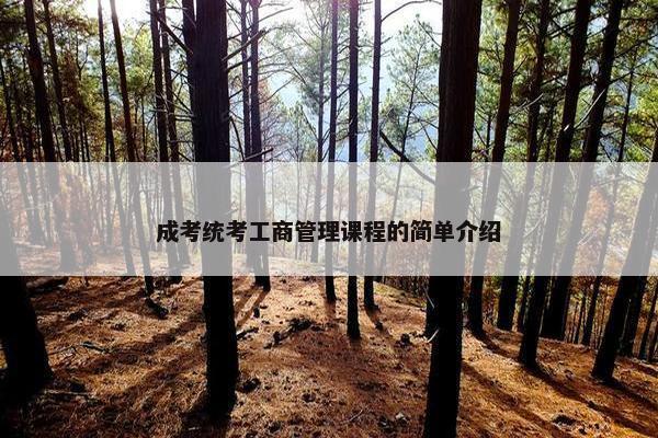 成考统考工商管理课程的简单介绍