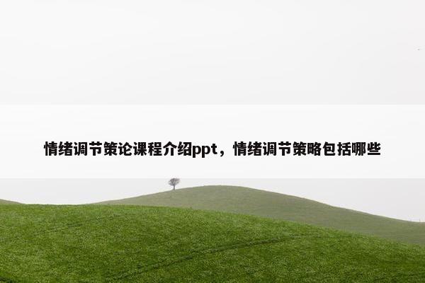 情绪调节策论课程介绍ppt，情绪调节策略包括哪些
