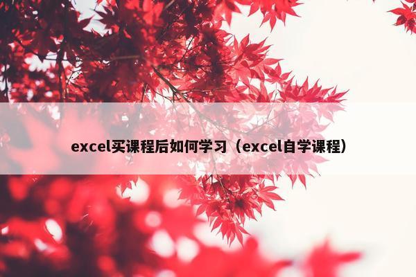 excel买课程后如何学习（excel自学课程）