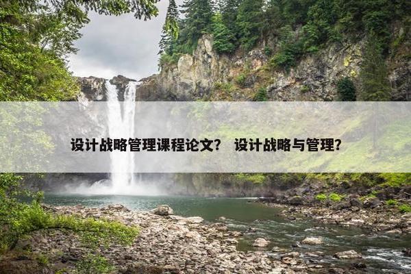 设计战略管理课程论文？ 设计战略与管理？