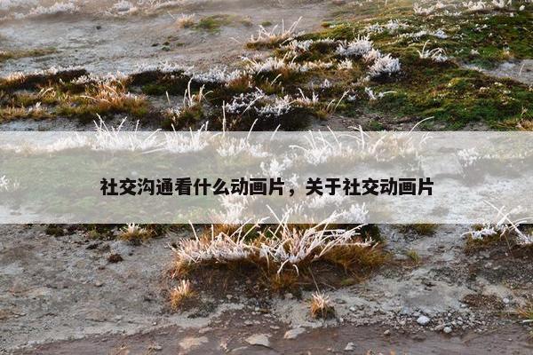 社交沟通看什么动画片，关于社交动画片