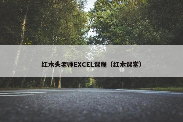 红木头老师EXCEL课程（红木课堂）
