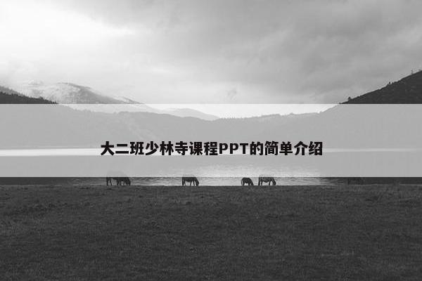 大二班少林寺课程PPT的简单介绍