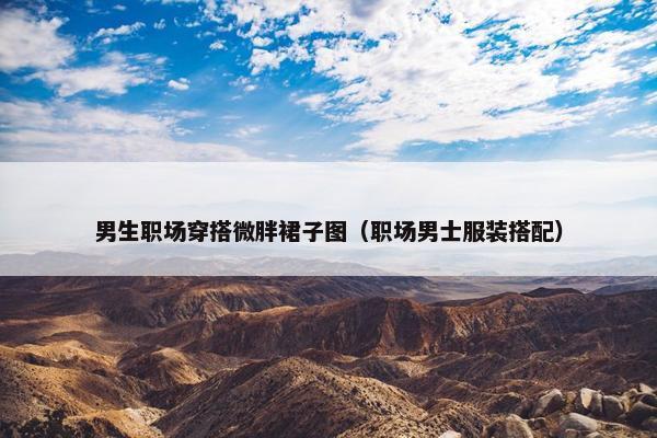 男生职场穿搭微胖裙子图（职场男士服装搭配）