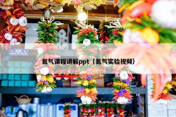 氮气课程讲解ppt（氮气实验视频）