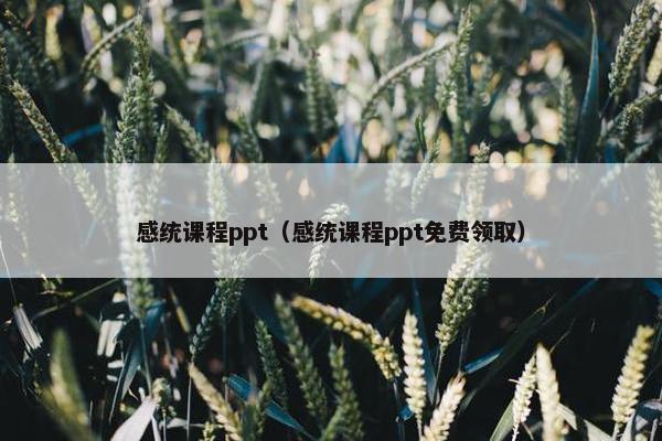 感统课程ppt（感统课程ppt免费领取）