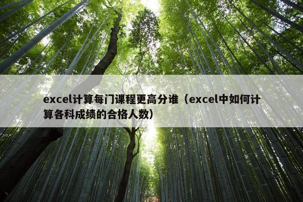 excel计算每门课程更高分谁（excel中如何计算各科成绩的合格人数）