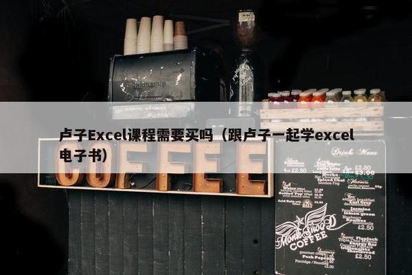 卢子Excel课程需要买吗（跟卢子一起学excel电子书）