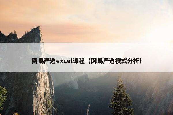 网易严选excel课程（网易严选模式分析）