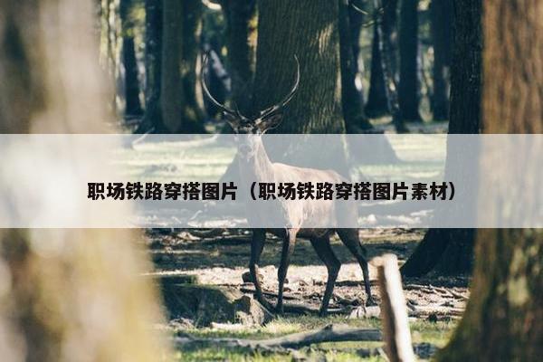 职场铁路穿搭图片（职场铁路穿搭图片素材）