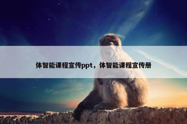 体智能课程宣传ppt，体智能课程宣传册