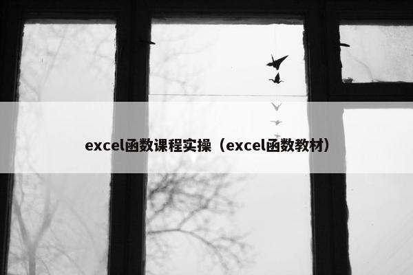 excel函数课程实操（excel函数教材）