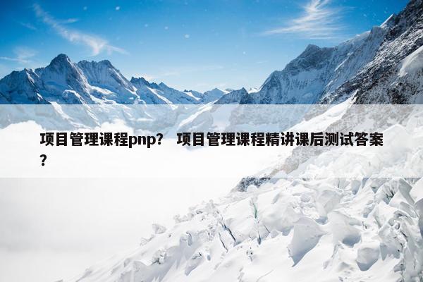 项目管理课程pnp？ 项目管理课程精讲课后测试答案？