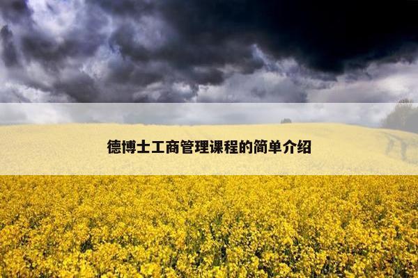 德博士工商管理课程的简单介绍