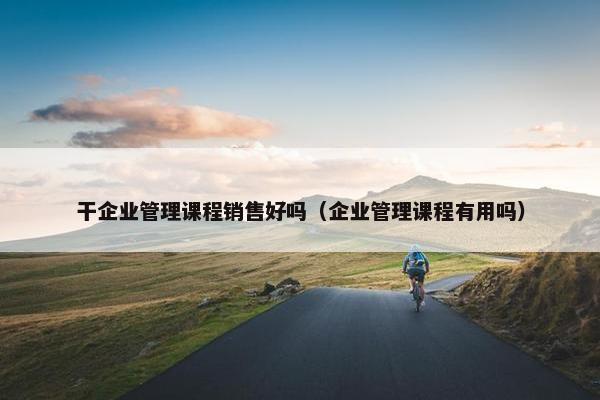 干企业管理课程销售好吗（企业管理课程有用吗）