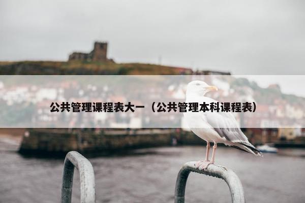 公共管理课程表大一（公共管理本科课程表）