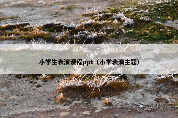 小学生表演课程ppt（小学表演主题）