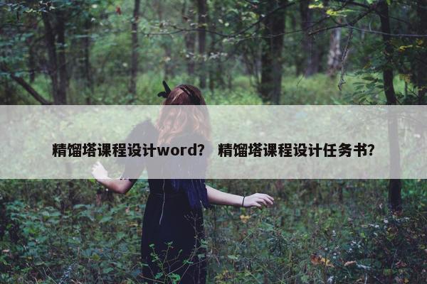 精馏塔课程设计word？ 精馏塔课程设计任务书？