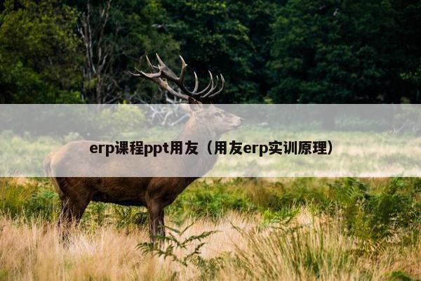 erp课程ppt用友（用友erp实训原理）