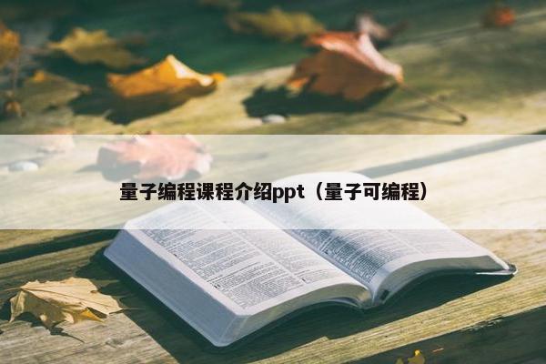 量子编程课程介绍ppt（量子可编程）