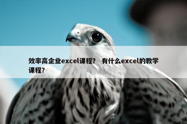 效率高企业excel课程？ 有什么excel的教学课程？