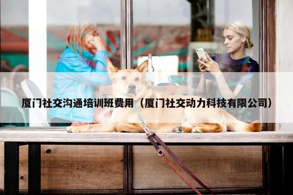 厦门社交沟通培训班费用（厦门社交动力科技有限公司）