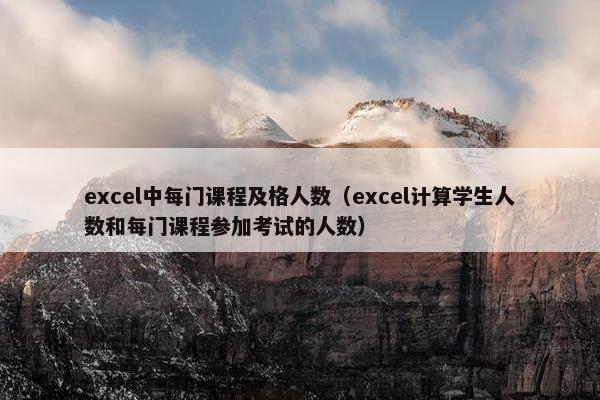 excel中每门课程及格人数（excel计算学生人数和每门课程参加考试的人数）