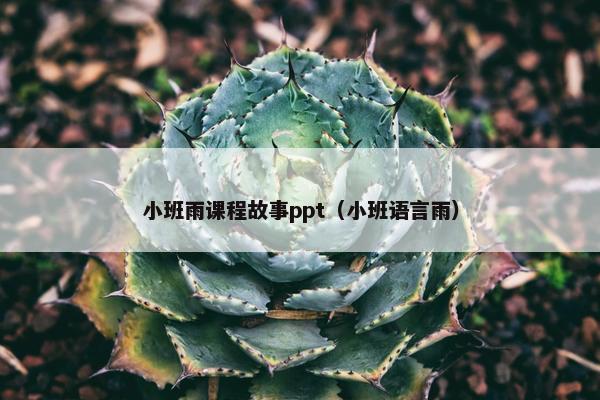 小班雨课程故事ppt（小班语言雨）