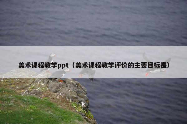 美术课程教学ppt（美术课程教学评价的主要目标是）