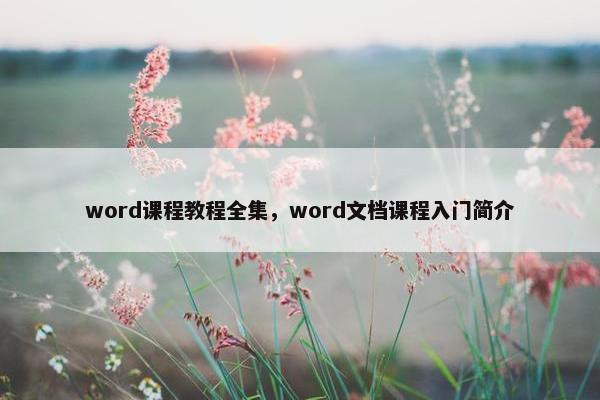 word课程教程全集，word文档课程入门简介