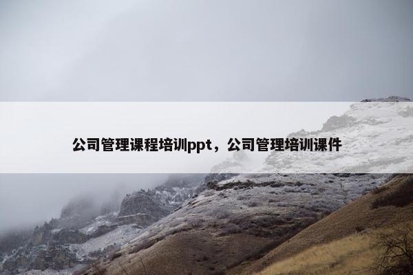 公司管理课程培训ppt，公司管理培训课件