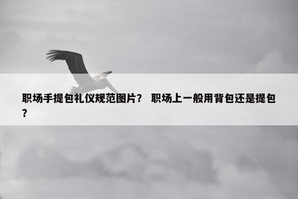 职场手提包礼仪规范图片？ 职场上一般用背包还是提包？
