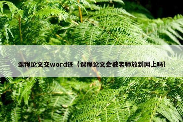 课程论文交word还（课程论文会被老师放到网上吗）