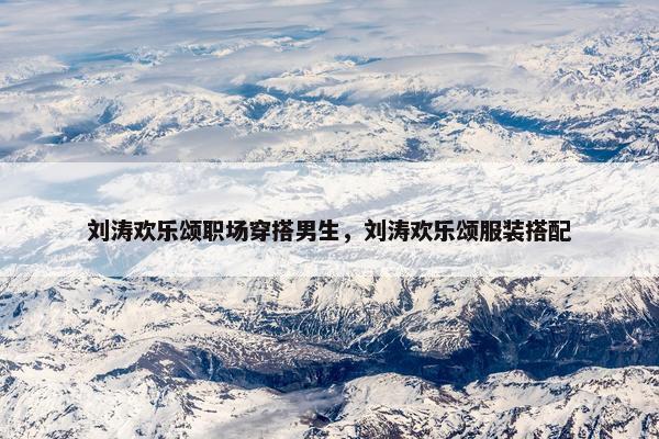 刘涛欢乐颂职场穿搭男生，刘涛欢乐颂服装搭配