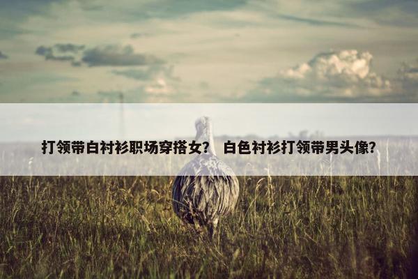 打领带白衬衫职场穿搭女？ 白色衬衫打领带男头像？