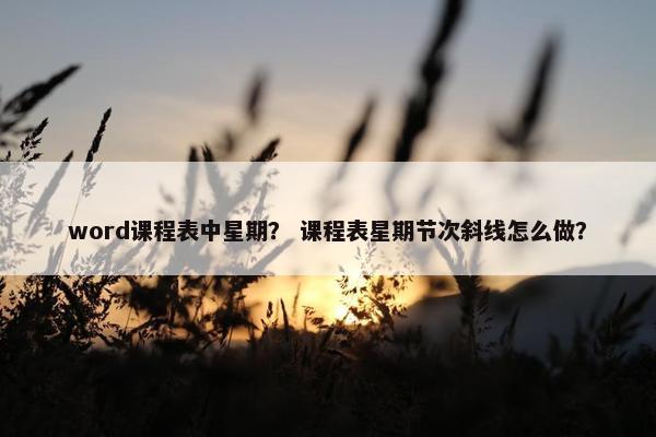 word课程表中星期？ 课程表星期节次斜线怎么做？