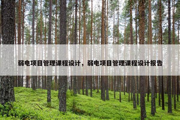 弱电项目管理课程设计，弱电项目管理课程设计报告