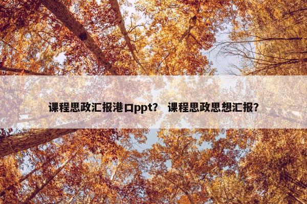 课程思政汇报港口ppt？ 课程思政思想汇报？