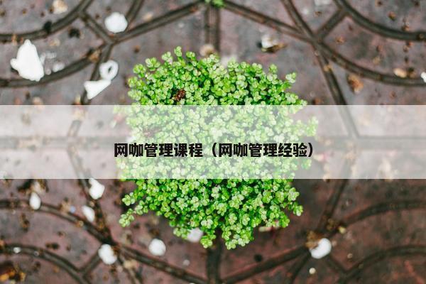 网咖管理课程（网咖管理经验）