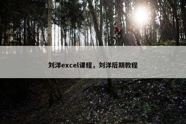 刘洋excel课程，刘洋后期教程