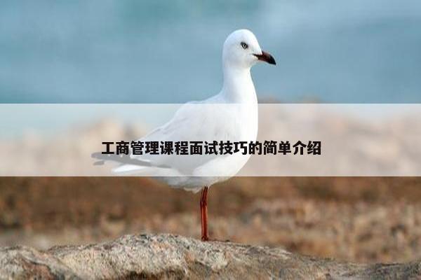 工商管理课程面试技巧的简单介绍