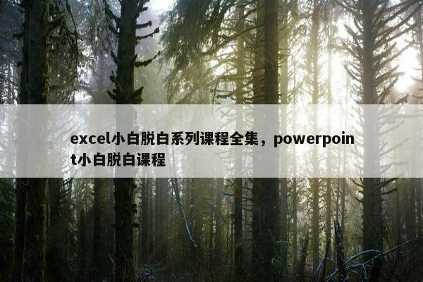 excel小白脱白系列课程全集，powerpoint小白脱白课程