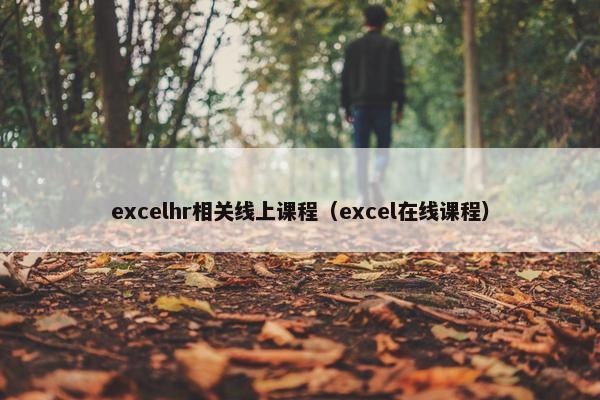 excelhr相关线上课程（excel在线课程）