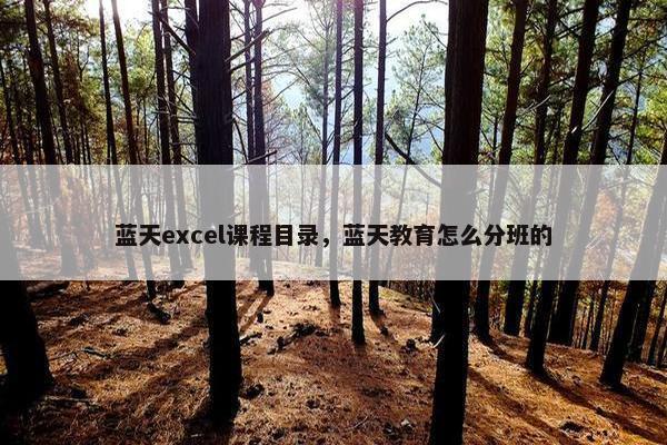 蓝天excel课程目录，蓝天教育怎么分班的